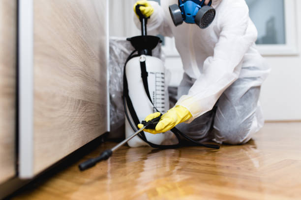 Best Pest Control Near Me  in Derby, KS