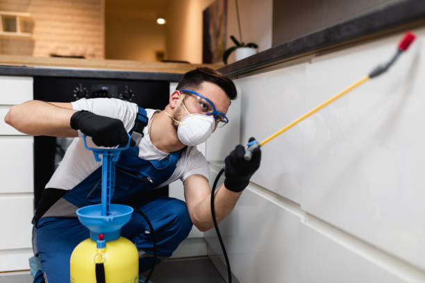 Best Mosquito Control Services  in Derby, KS