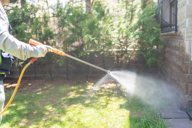 Professional Pest Control in Derby, KS
