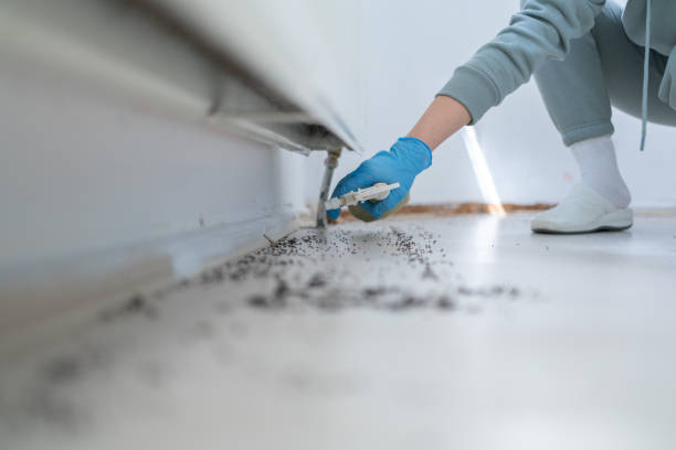 Best Rat Extermination Near Me  in Derby, KS