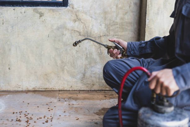 Best Exterminator Services  in Derby, KS